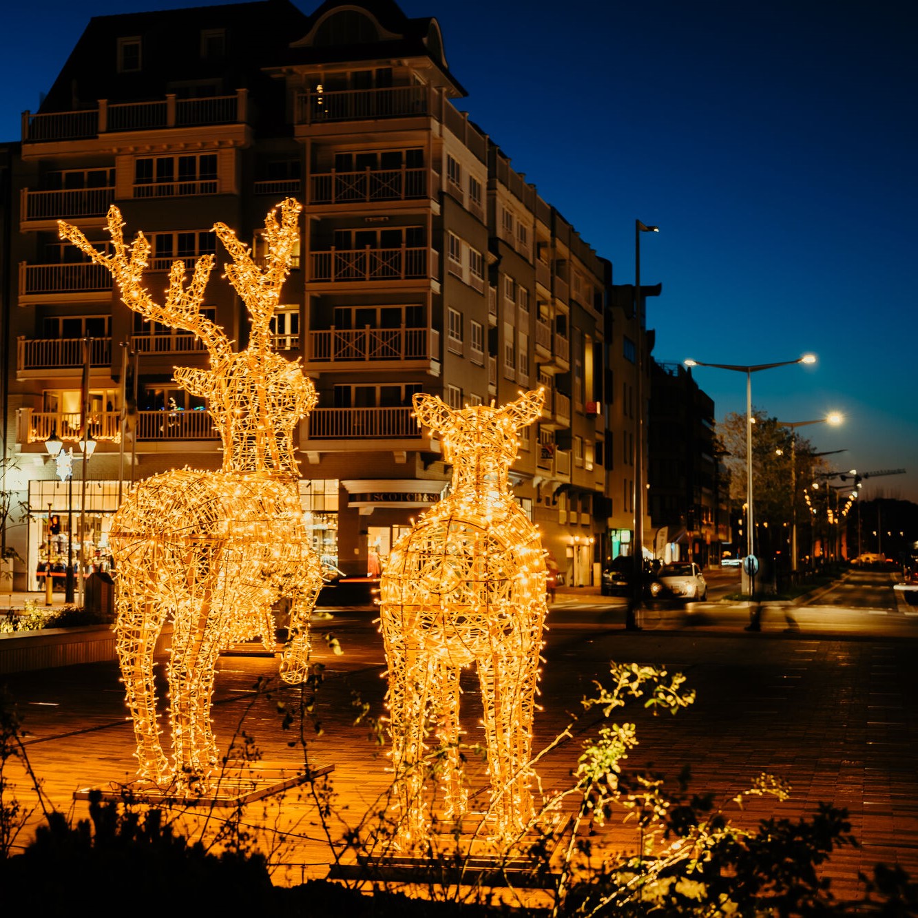 Winterbeleving in Knokke-Heist